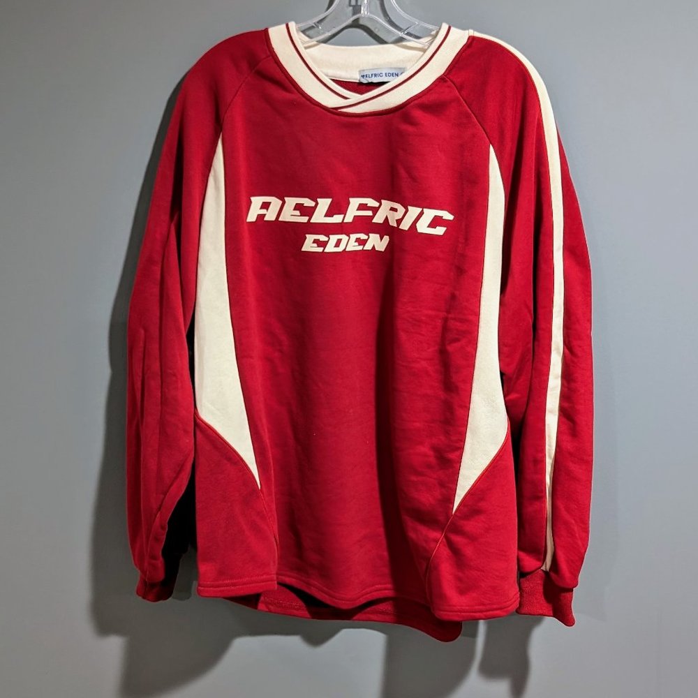 Aelfric Eden Red and White Women's Sweater